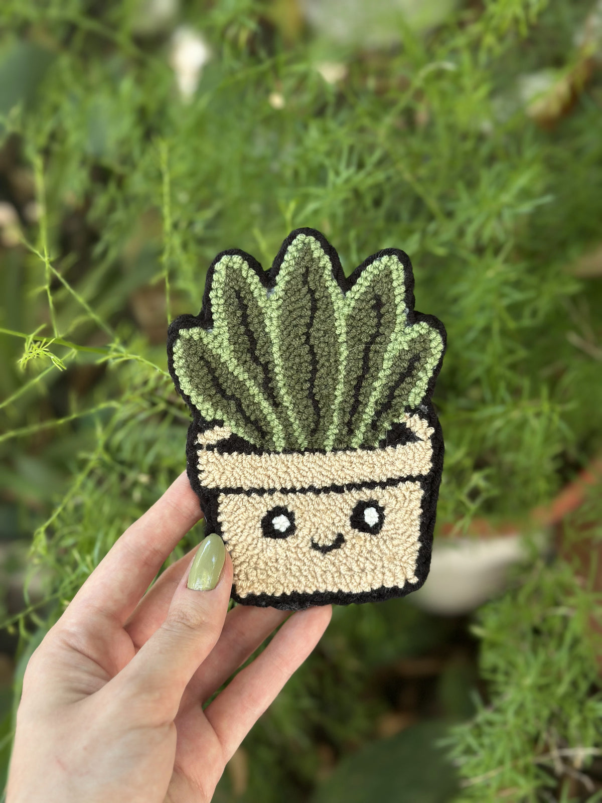 Happy Succulent Set of 2
